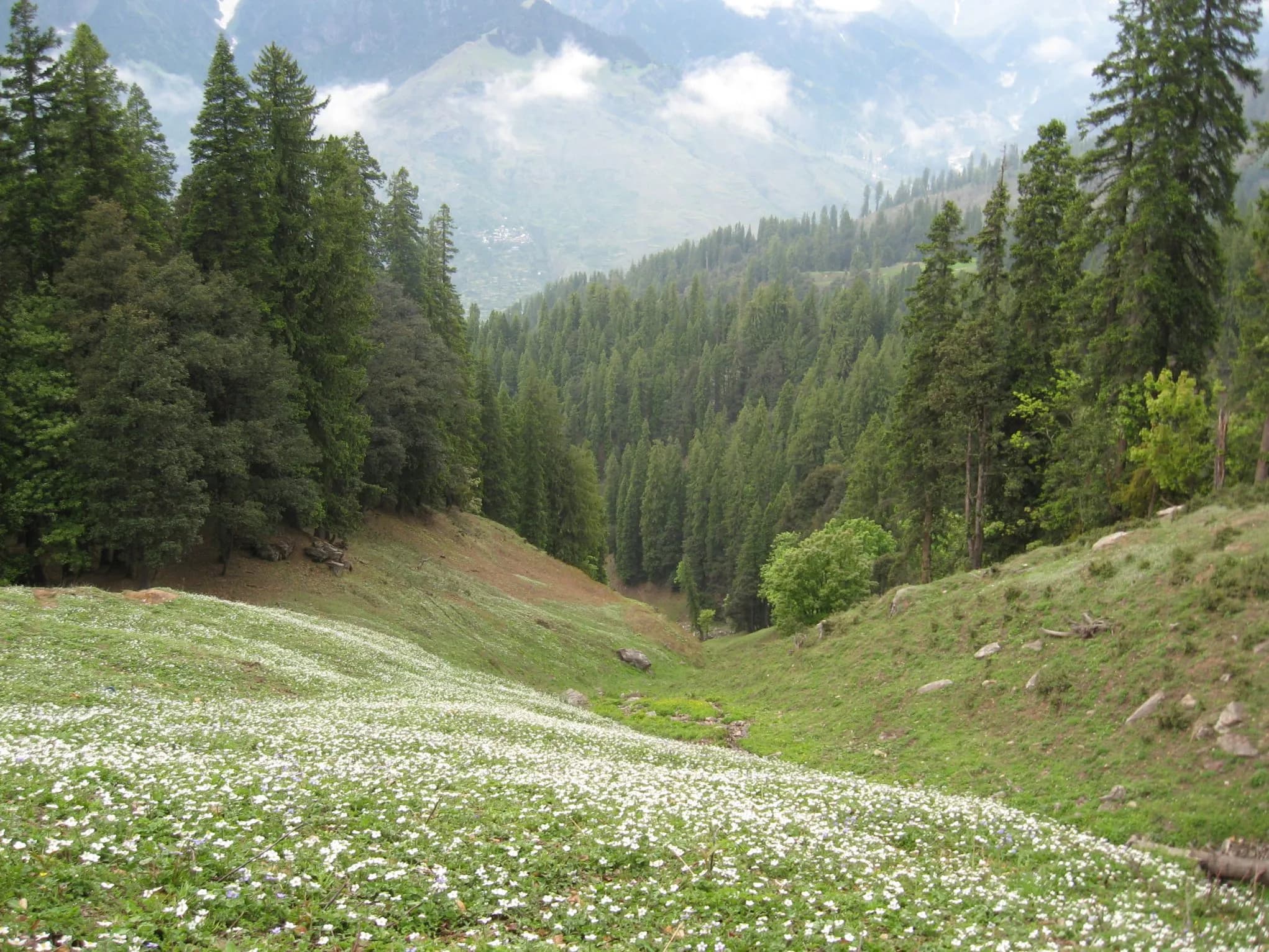 PIN VALLEY
